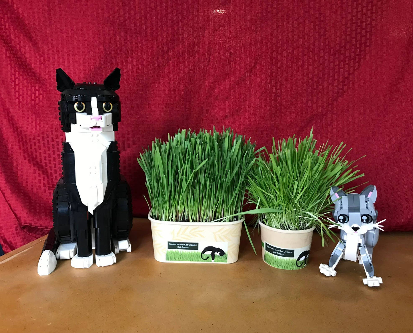 Compostable Cat Grass Bowl