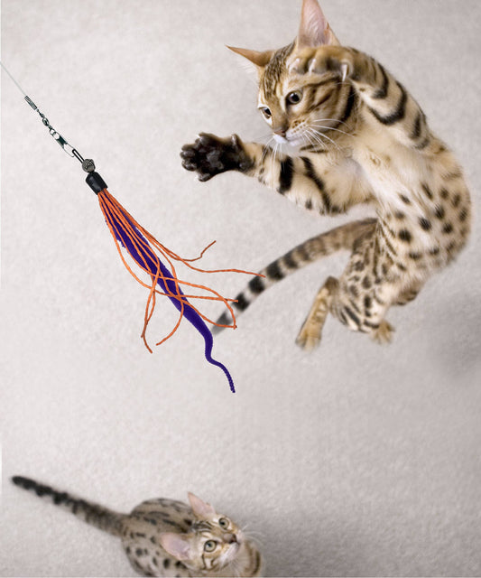 Dezi & Roo - Wiggly Wand Cat Toy