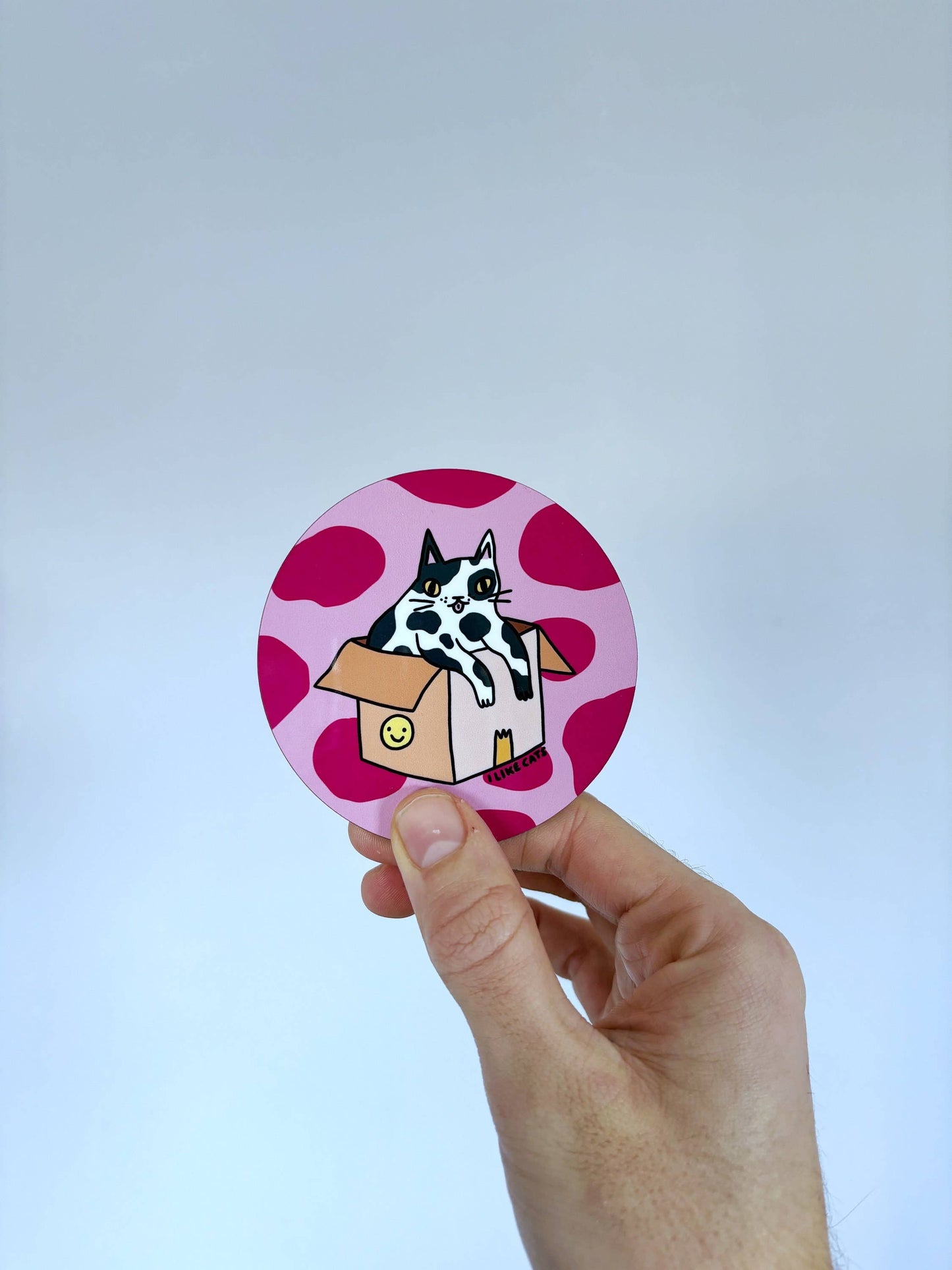 Funny Cat in a Box Drinks Coaster