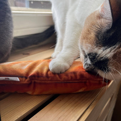 Refillable CATNIP 14-inch Baguette