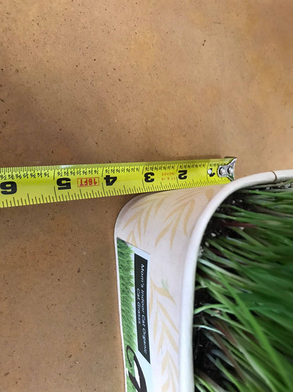 Compostable Cat Grass Bowl