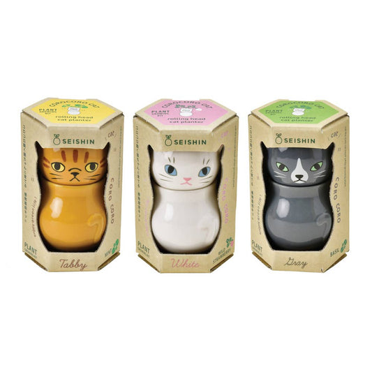 Corocoro Cats - Assorted 3 Styles