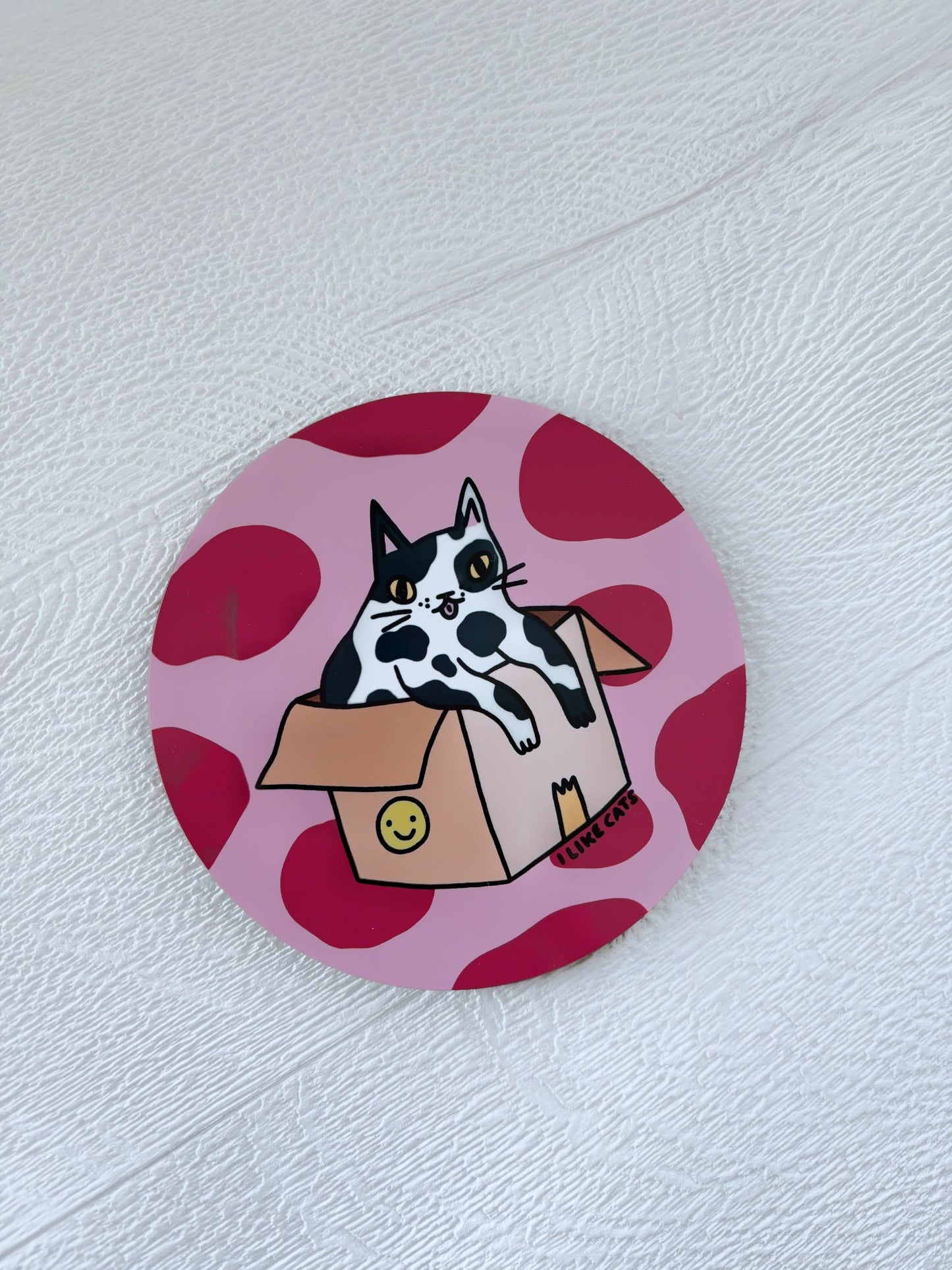 Funny Cat in a Box Drinks Coaster