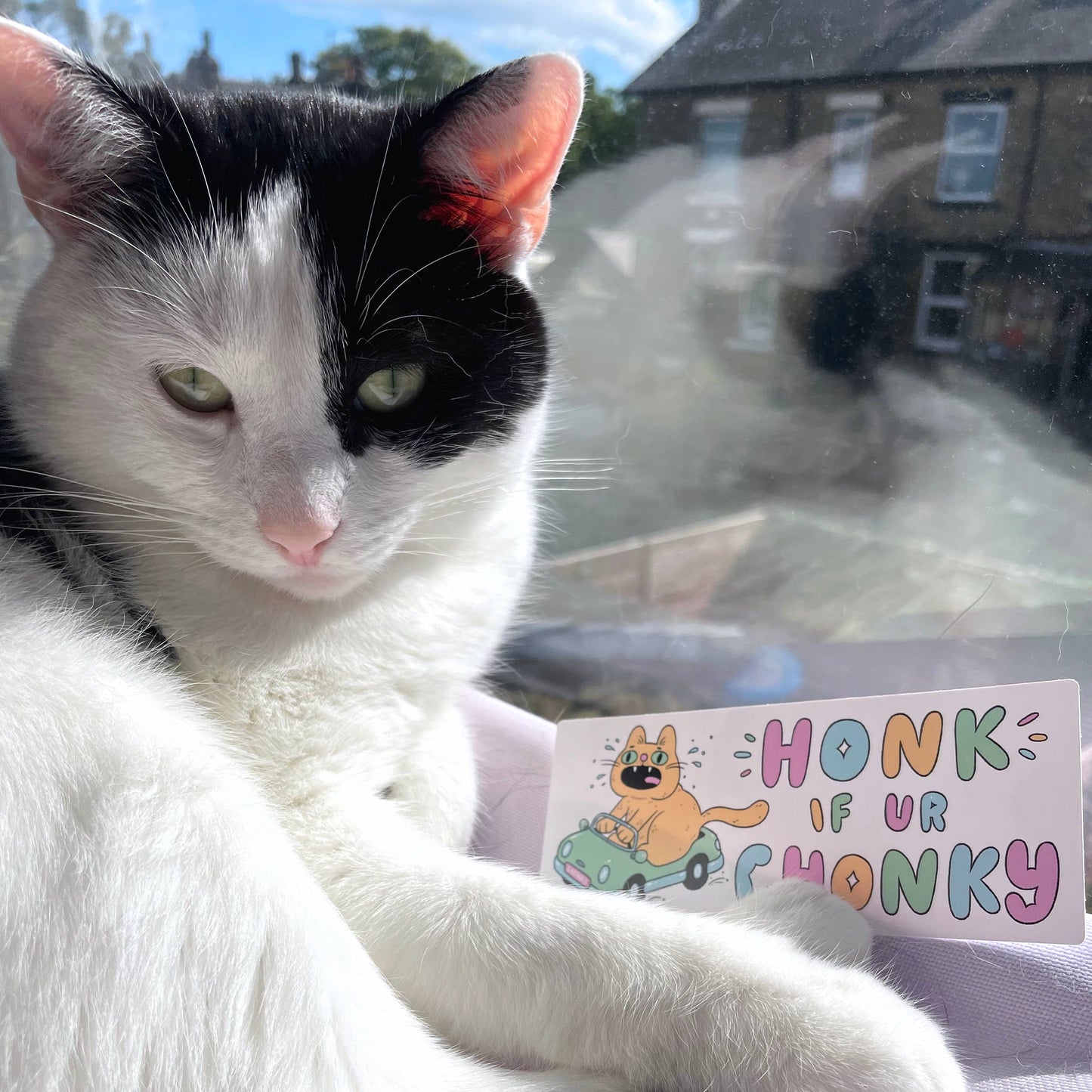 Honk If UR Chonky sticker