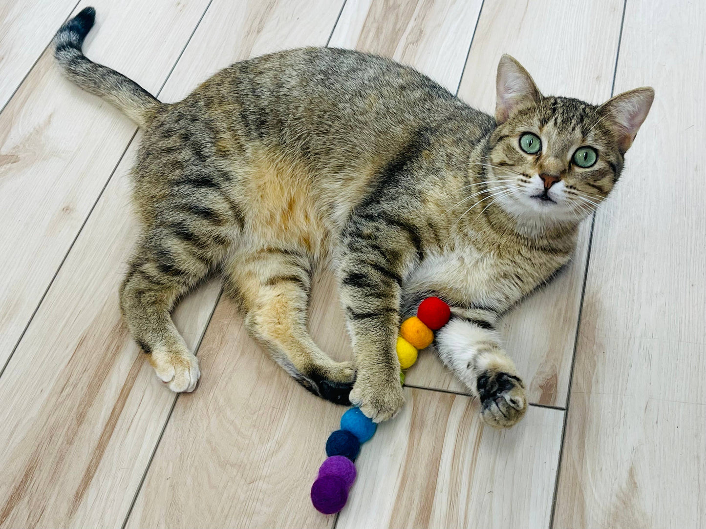 Woolly Worm Cat Toy