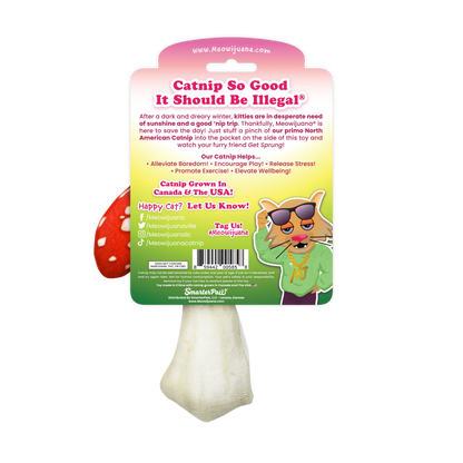 Get Sprung Mushroom Refillable Cat Toy