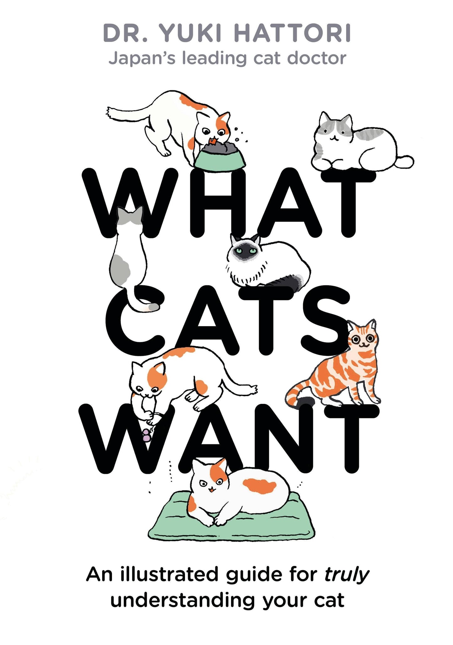 What Cats Want: Illustrated Guide To Understanding Cats