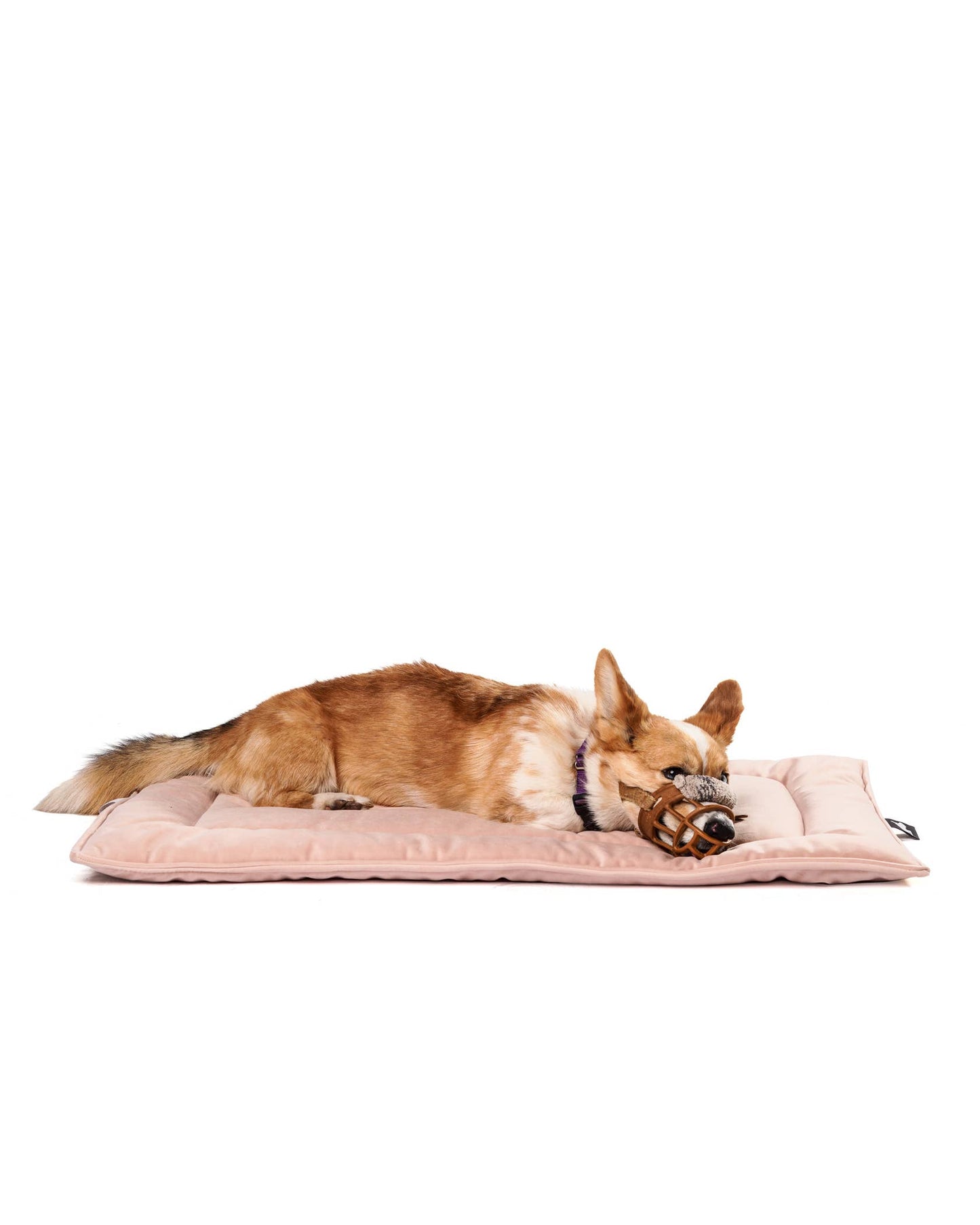 Roxbury PET - The Melrose Mat