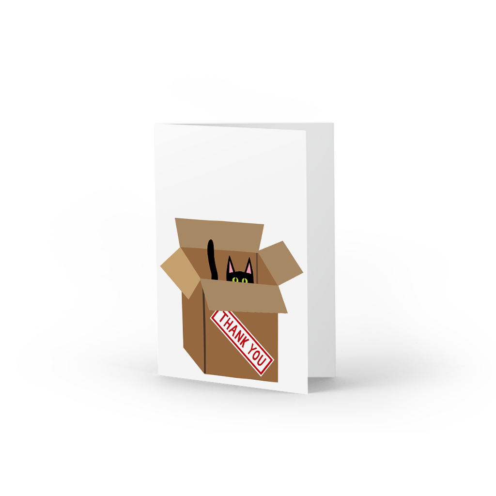 Cat in Box Thank You Boxed Note Cards, Set of 10