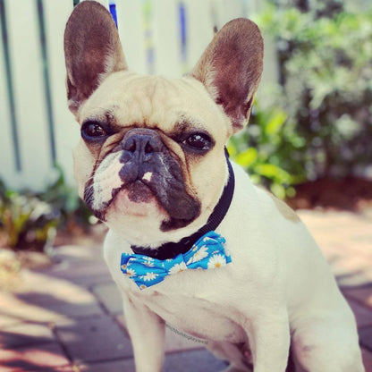 Huxley & Kent - Flower Child Bow Tie