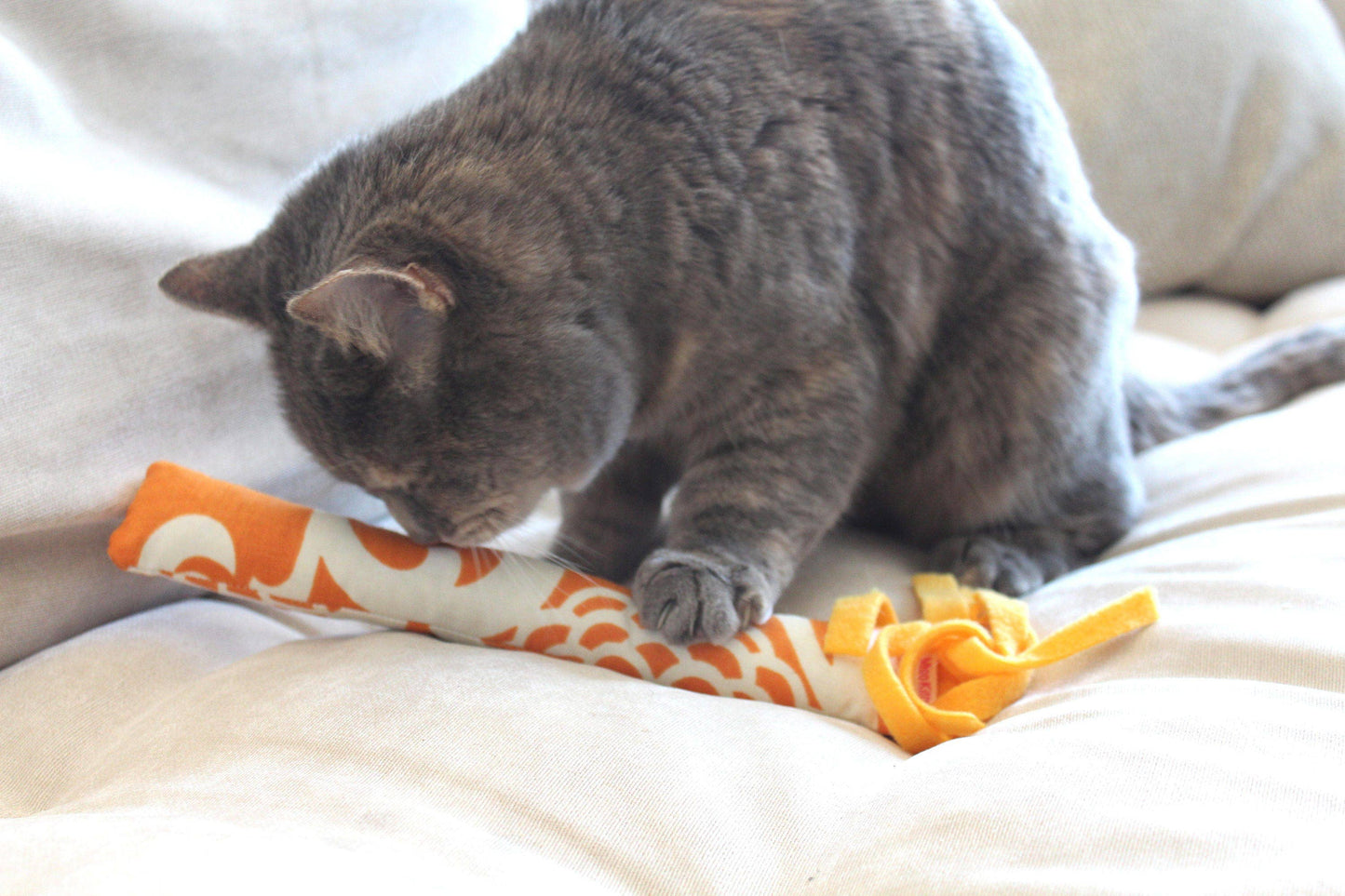 Cat Toy Kickers