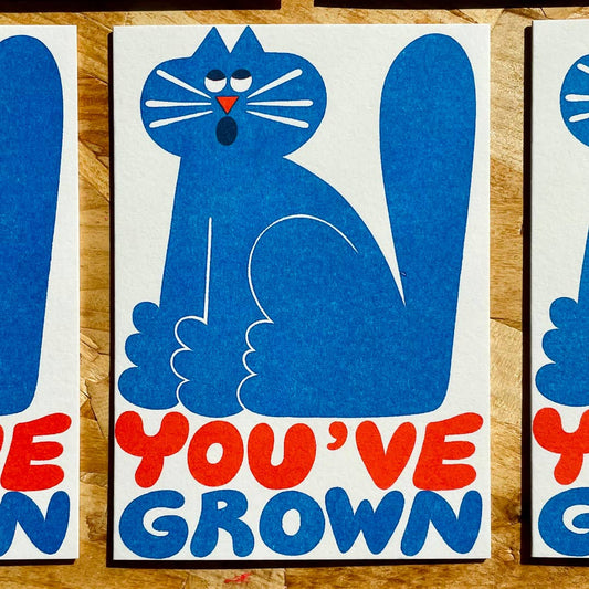 You've Grown Birthday Cat Card