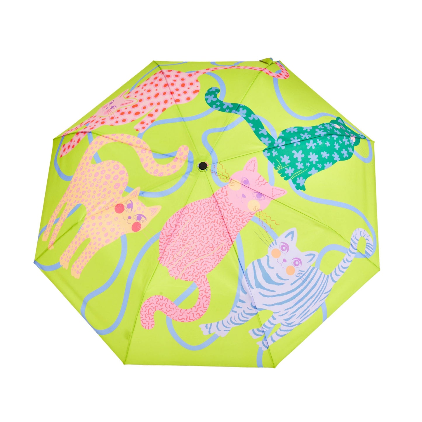 Arty Cat Duck Umbrellas (Fuchsia/Lime/Ice)