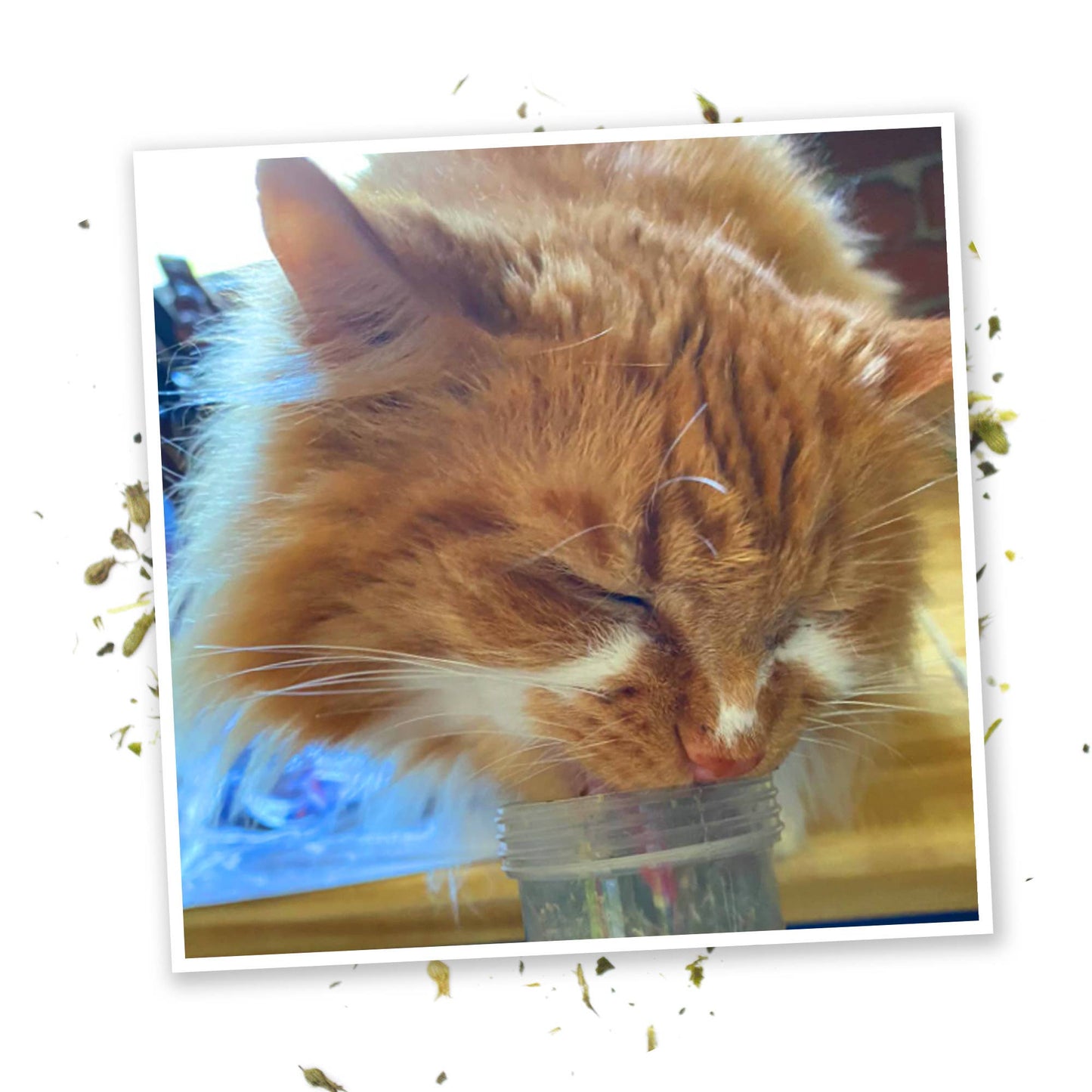 Meowijuana Kalico Kush - Valerian Root and Catnip Blend