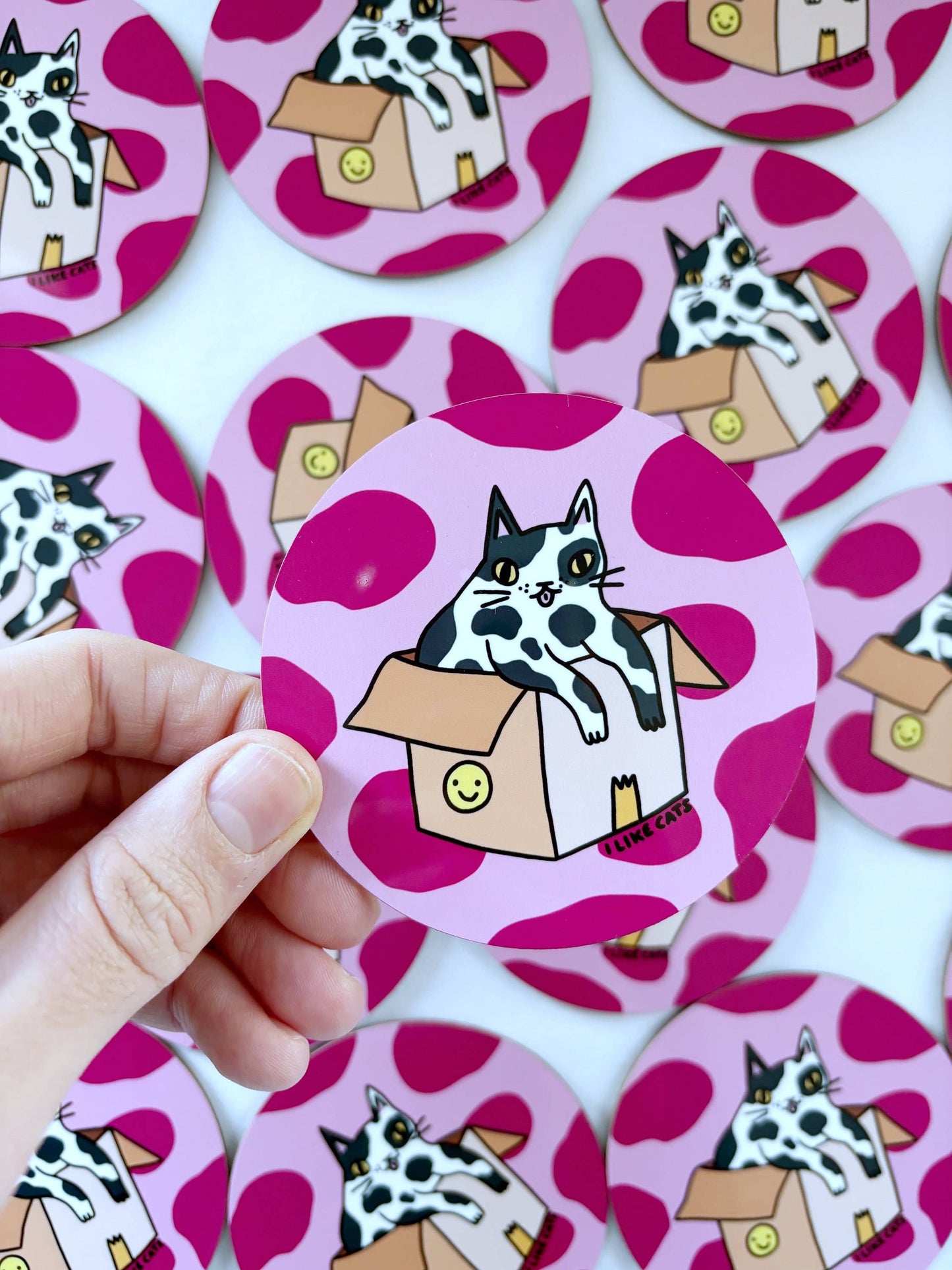 Funny Cat in a Box Drinks Coaster