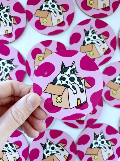 Funny Cat in a Box Drinks Coaster