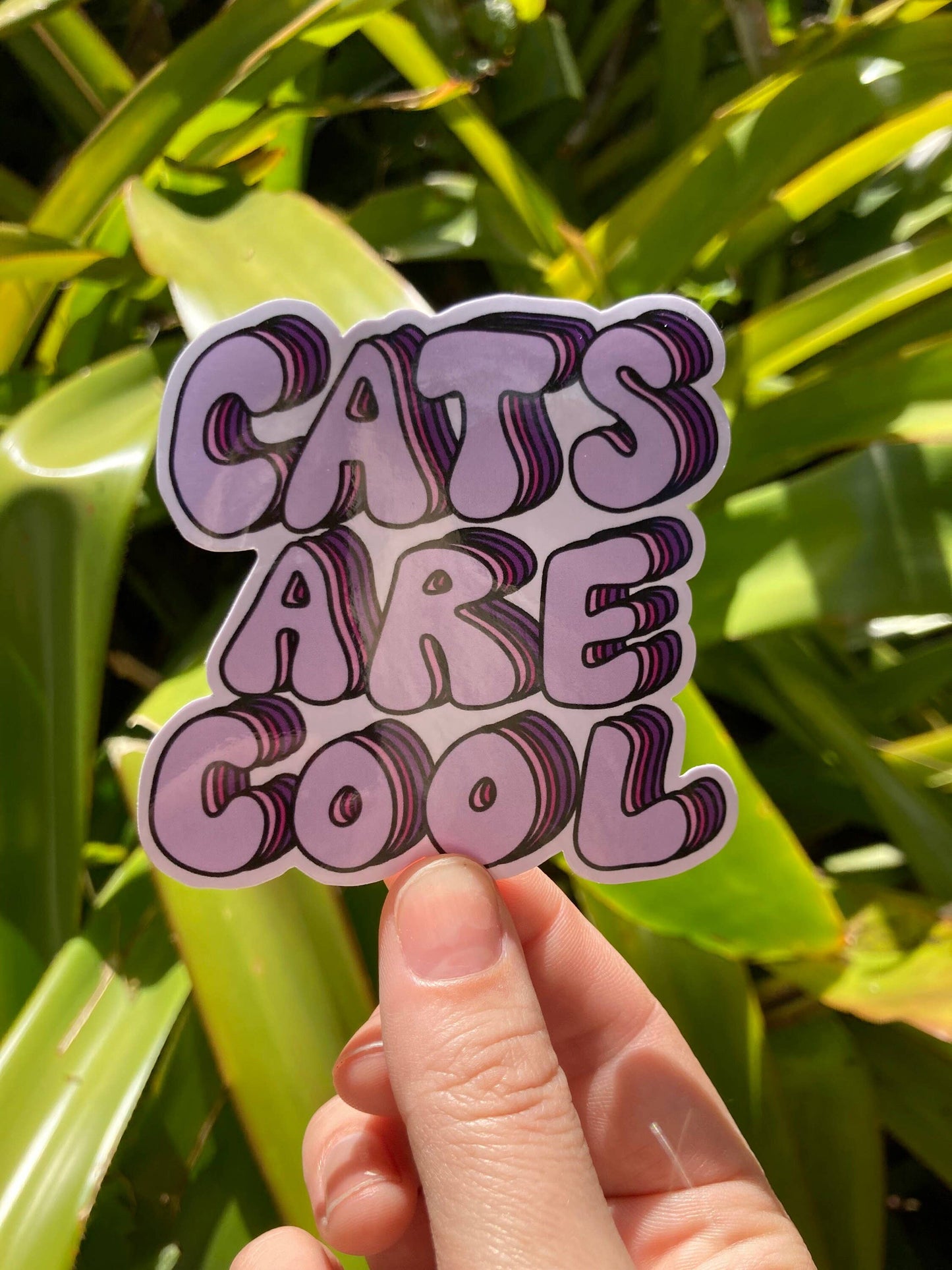 CATS ARE REALLY Cool