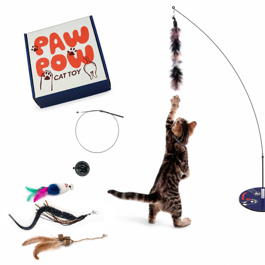 Paw Pow Interactive Cat Wand Toy