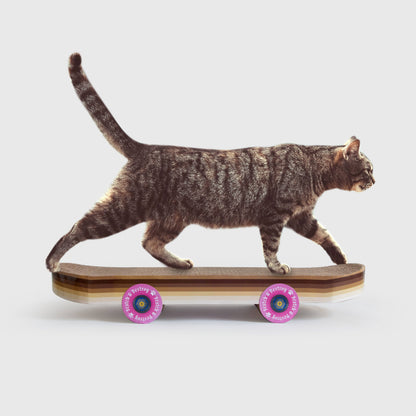 Cat Scratcher Skateboard