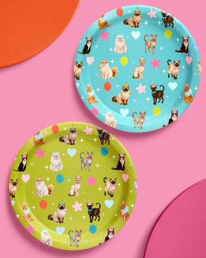 xo, Fetti Cat Plates