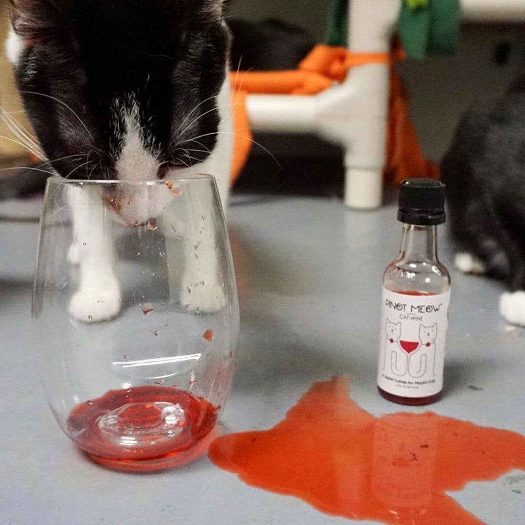 Cat Wine Pinot Meow Liquid Catnip For Cats