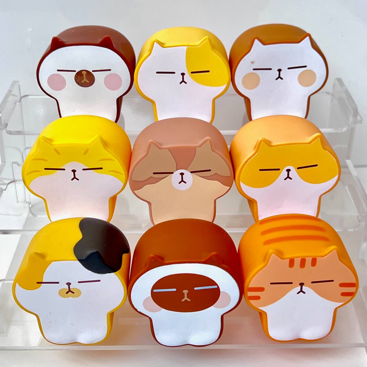 Cat Toast Blind Box