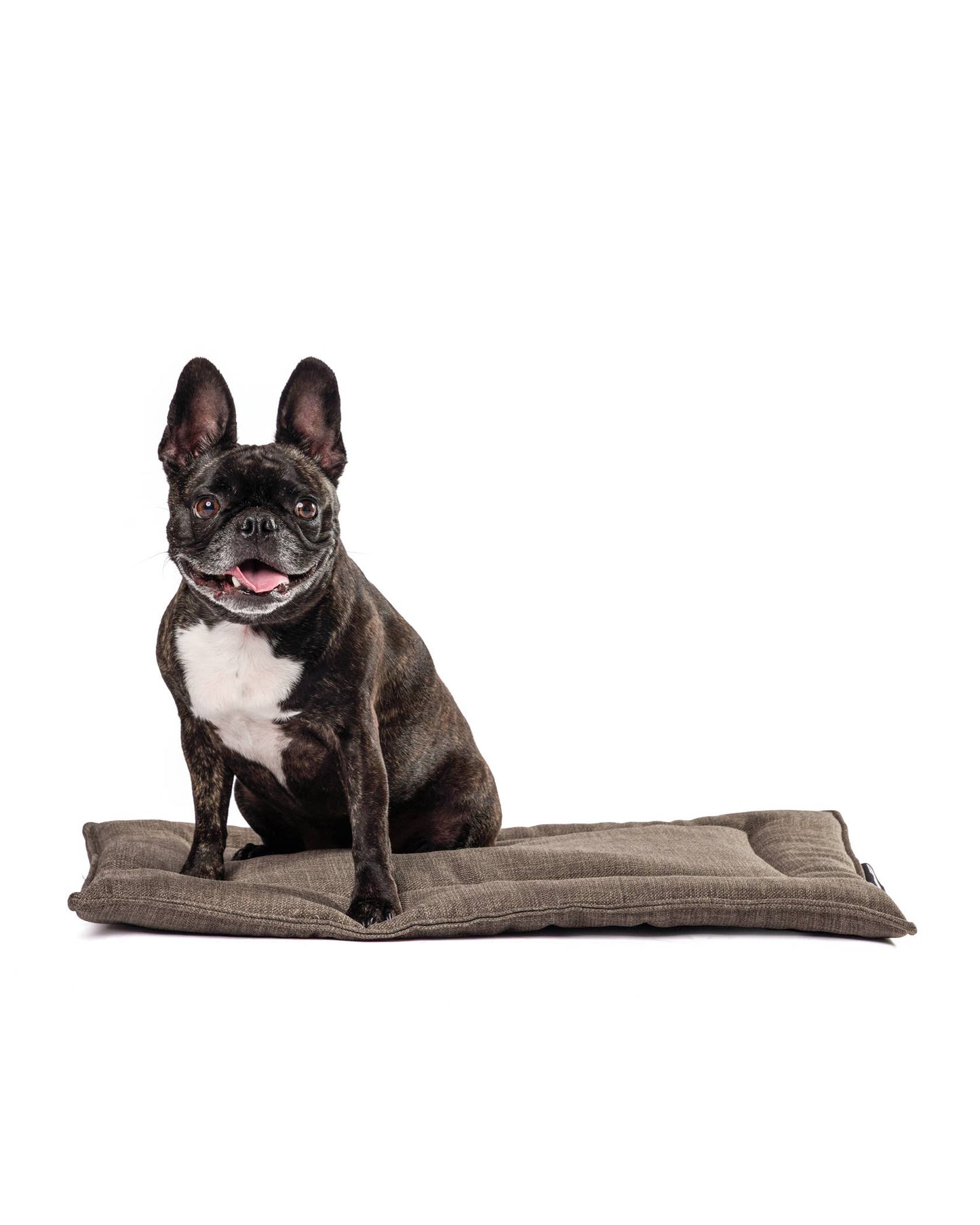 Roxbury PET - The Melrose Mat