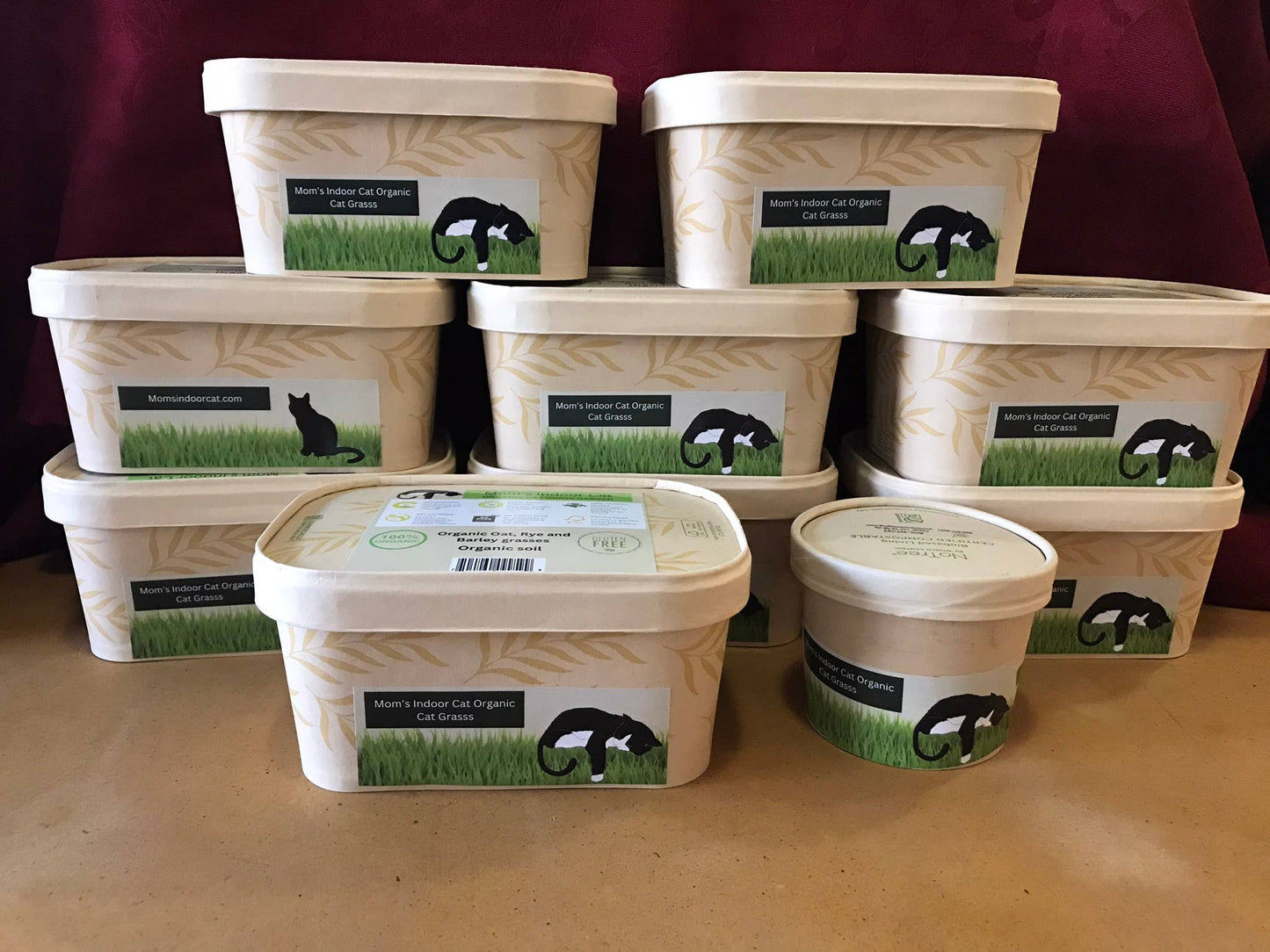 Compostable Cat Grass Bowl