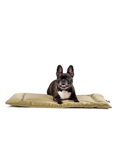 Roxbury PET - The Melrose Mat