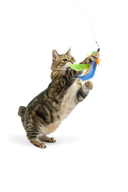 Huxley & Kent - Teaser Sour Scratch Wand Cat Toy