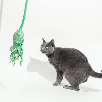 Wool Octopus Cat Toy with 4-Foot Tether - blue, green