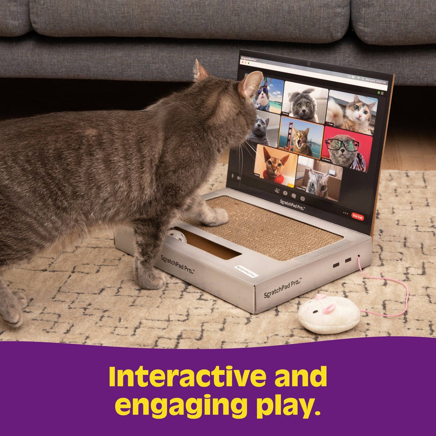 What Do You Meme - ScratchPad Pro — Cardboard Laptop Cat Scratcher