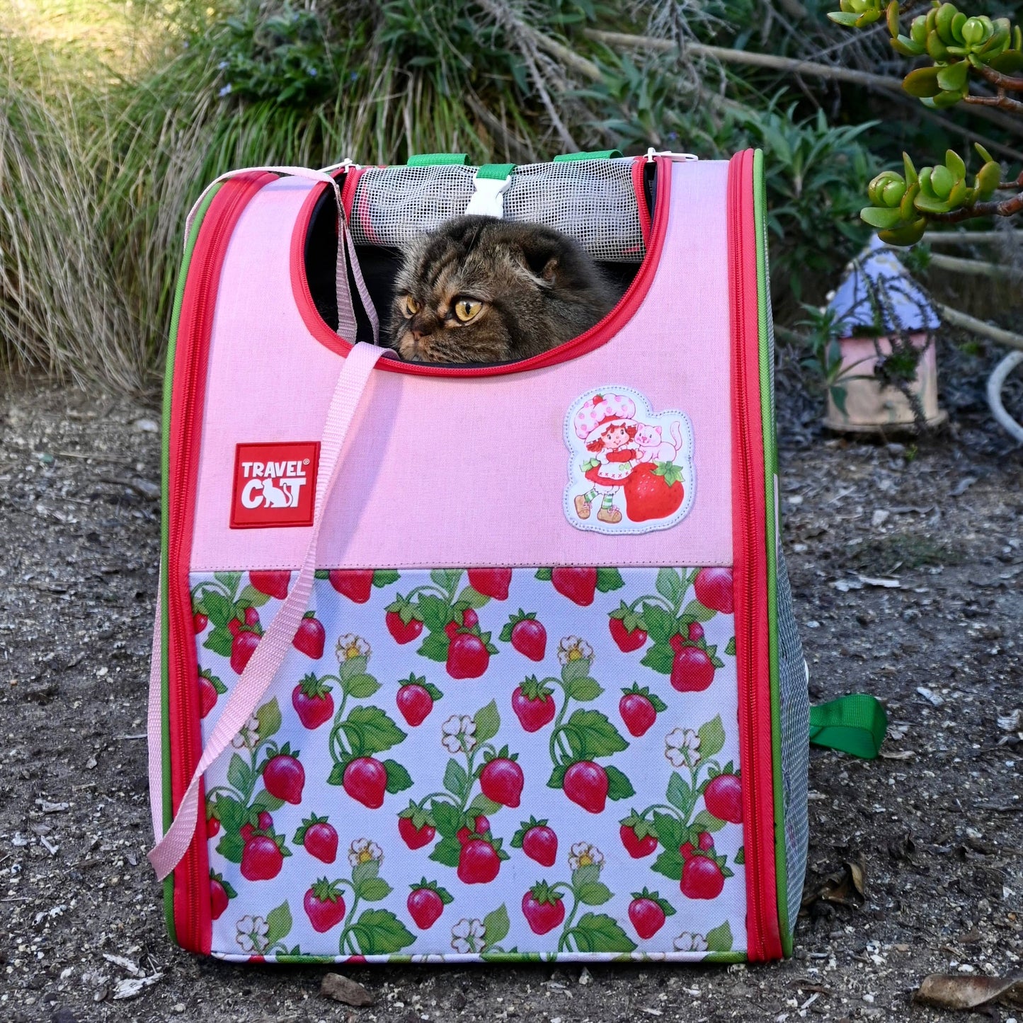 Travel Cat Wholesale - Strawberry Shortcake x Travel Cat Backpack - Officially Licensed