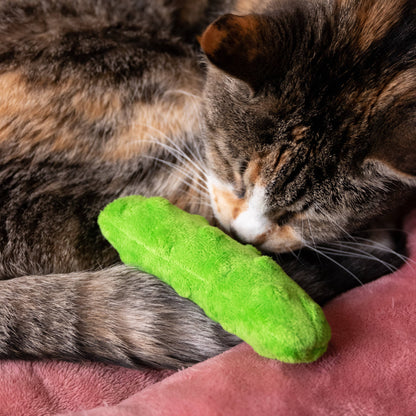 Pickle Cat Toy