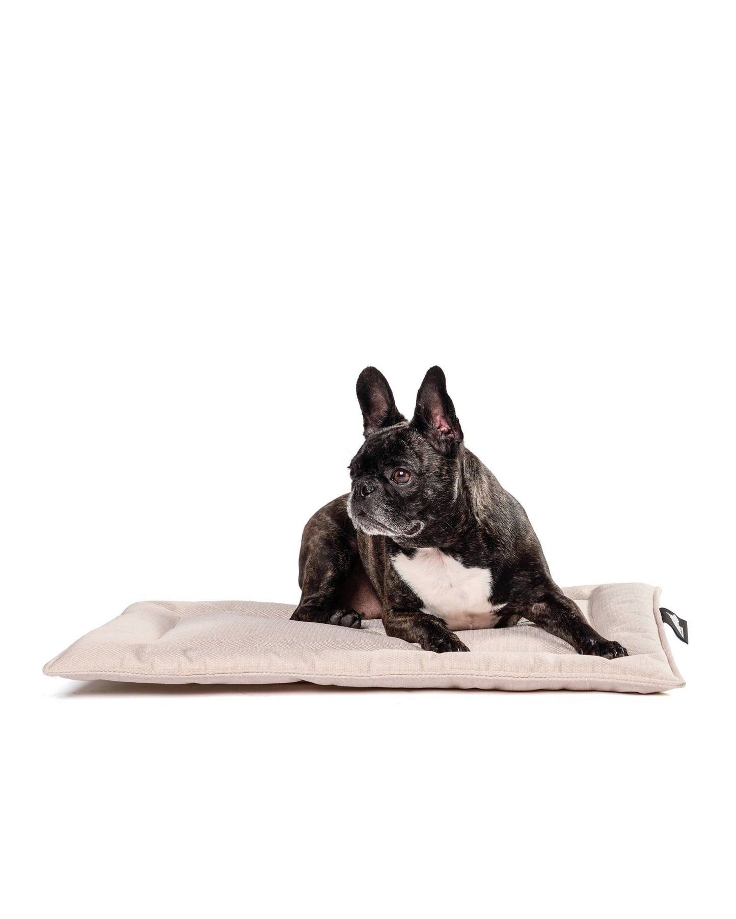 Roxbury PET - The Melrose Mat