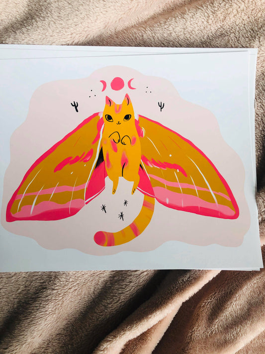 Pink elephant moth cat 8x10 high quality matte print