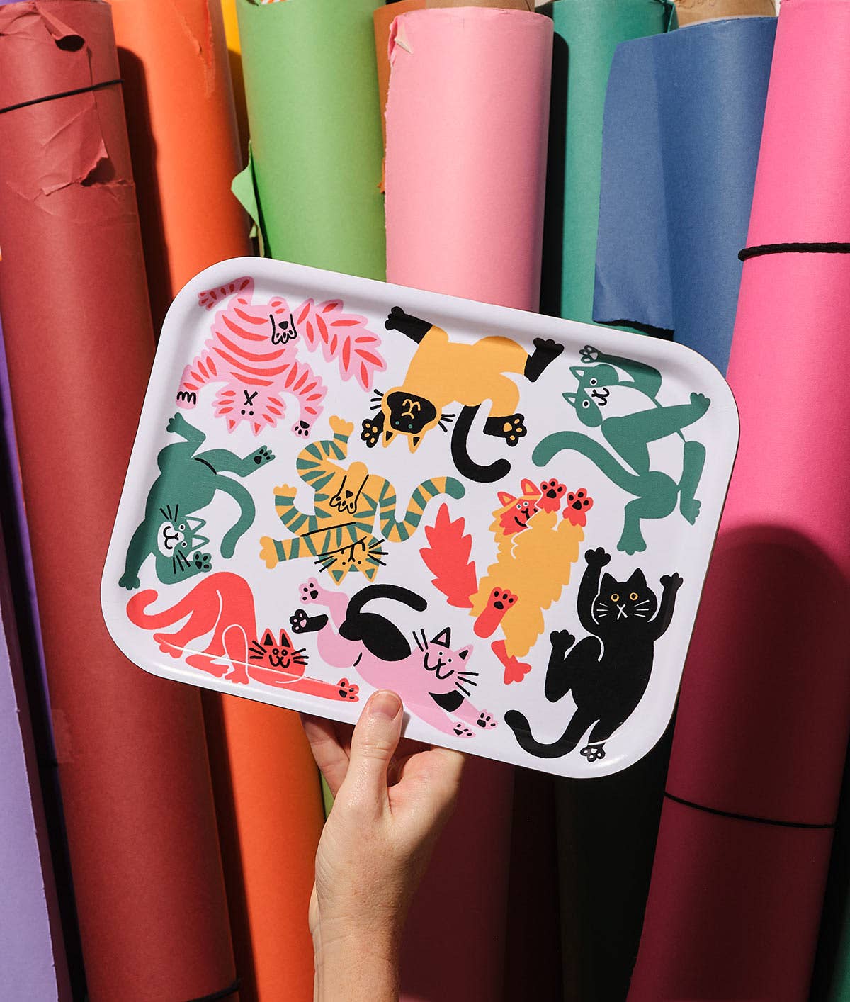 Cats Small Rectangle Birch Serving Tray