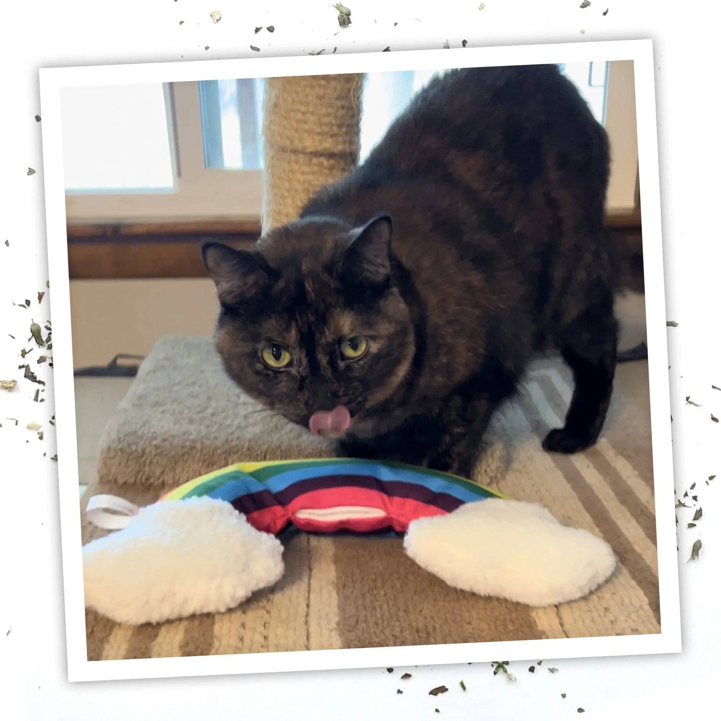 Get Kickin' Rainbow Refillable Kicker Cat Toy