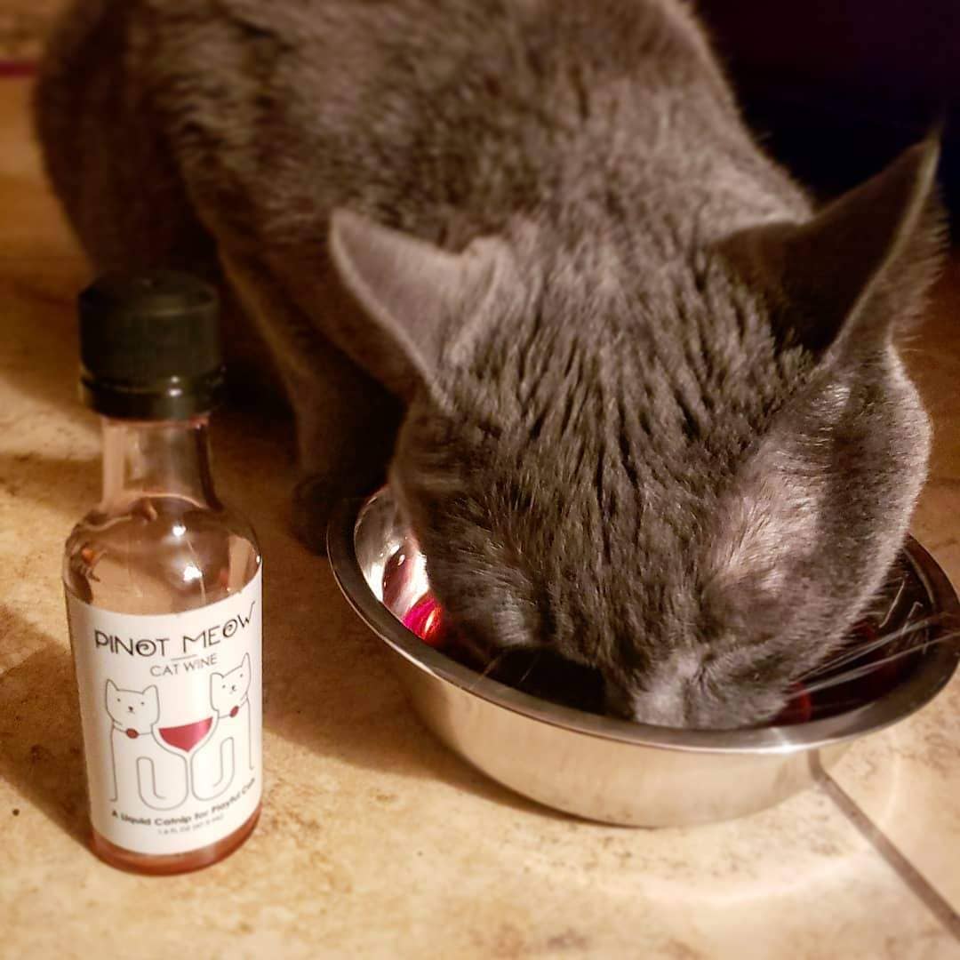 Cat Wine Pinot Meow Liquid Catnip For Cats