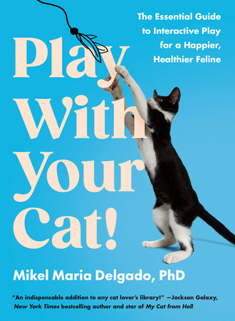 Play with your Cat!