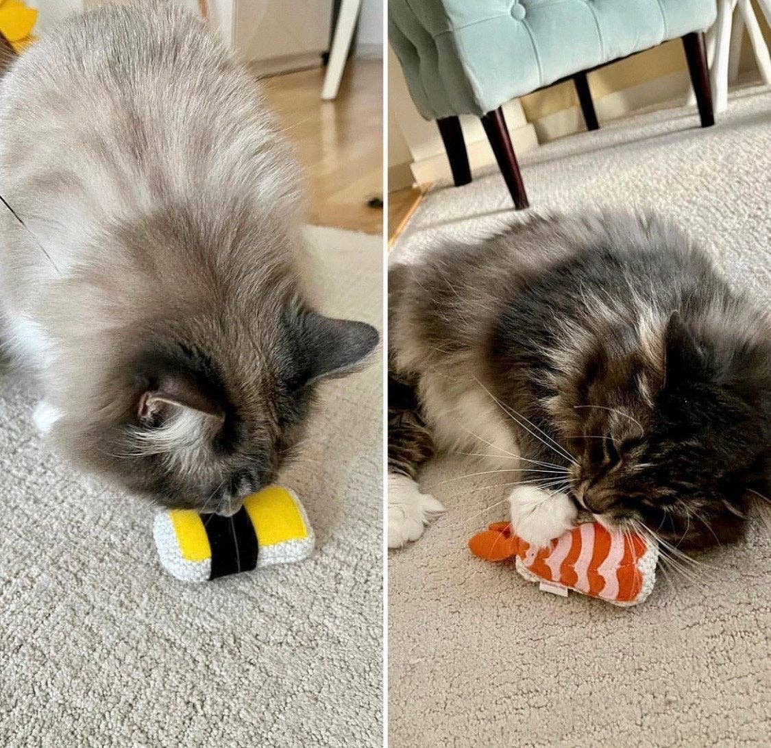 Catnip Sushi s/2 & Bulk
