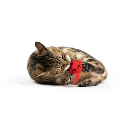 Huxley & Kent - Ladybug Flinger Cat Toy