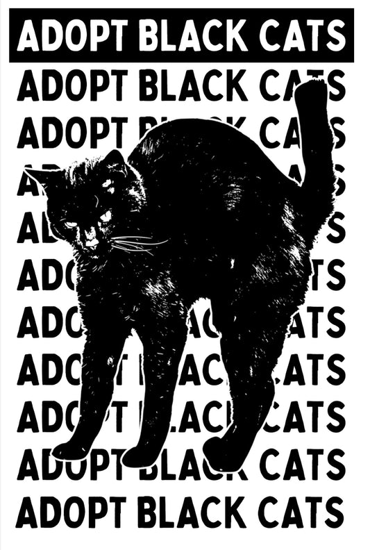 Adopt Black Cats zine vol.1 by Daniel Herrera and Rissa Green