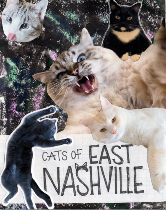 Cats of East Nashville by Kelsey Christine