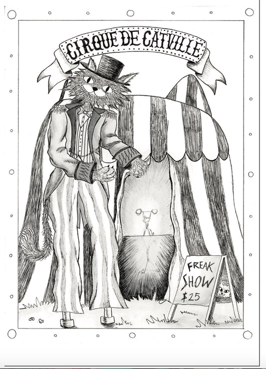 Cirque De Catvilla by Lillian S.