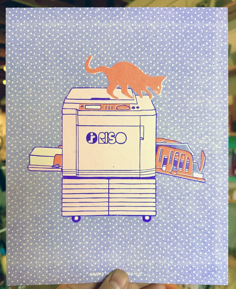 Riso Cat by Talia Bromstad