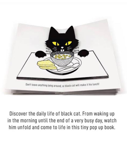 Black Cat pop-up book by Mathilde Arnaud