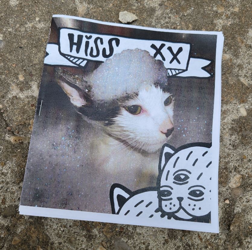 Hiss Art cat zine