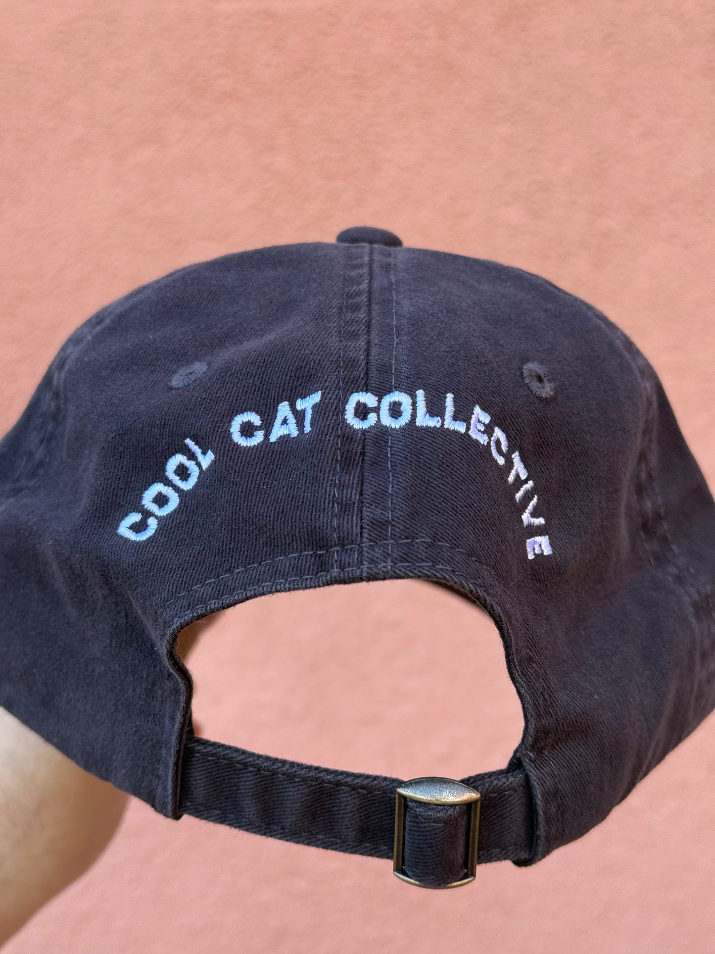 Rainbow Friends Cool Cat hat
