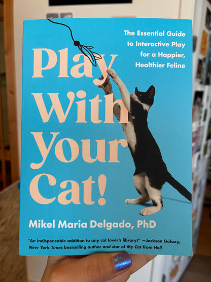 Play with your Cat!